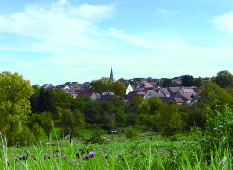 Blick über Nußbaum