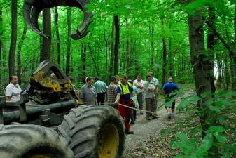 Der Neulinger Wald ist gut aufgestellt. Neben seiner Erholungsfunktion können auch in Zukunft positive Betriebsergebnisse aus der Waldwirtschaft erwartet werden. Im Bild der Gemeinderat bei einer Waldbegehung