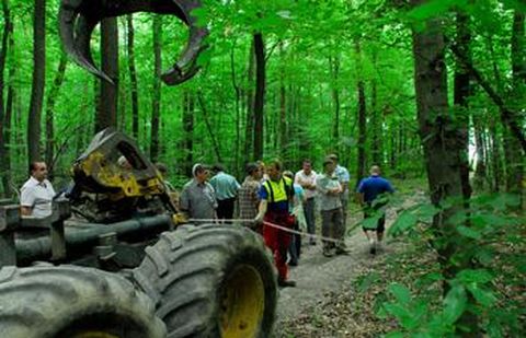 Der Neulinger Wald ist gut aufgestellt. Neben seiner Erholungsfunktion können auch in Zukunft positive Betriebsergebnisse aus der Waldwirtschaft erwartet werden. Im Bild der Gemeinderat bei einer Waldbegehung