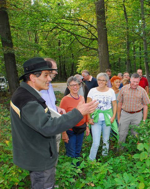 Lob bei der Waldprüfung: Der Neulinger Wald ist bei Revierleiter Martin Schickle (links) in guten Händen, hier bei der Waldbesichtigung des Gemeinderates.